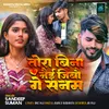 About Tora Bina Nai Jibau Ge Sanam Song